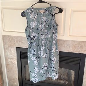 Ann Taylor Loft Dress